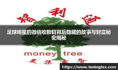 足球明星的微信收款码背后隐藏的故事与财富秘密揭秘